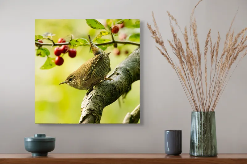 Tablou Canvas, "Micul oaspete pe ramura verii", Pasăre, Crenguță, Frunze, Roșii, Natură, Rândunică, Delicatețe, Echilibru., 50 x 50 cm – poza 4