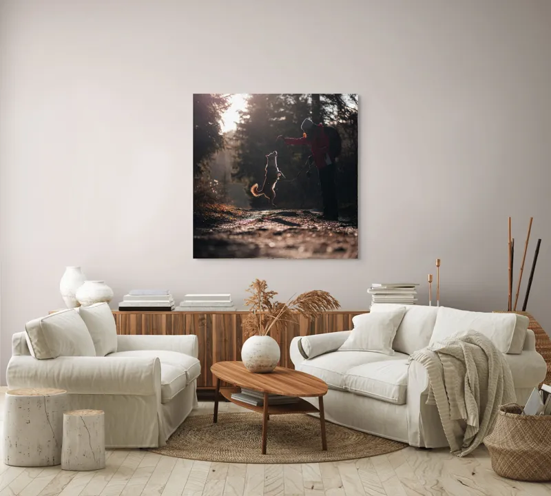Tablou Canvas, "Câine sărind în lumina soarelui", Câine, Săritor, Pădure, Siluetă, Lumină, Drumeție, Bucurie, Amurg, Mișcare, 100 x 100 cm – poza 3