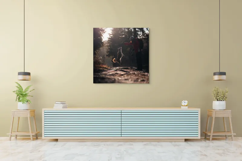 Tablou Canvas, "Câine sărind în lumina soarelui", Câine, Săritor, Pădure, Siluetă, Lumină, Drumeție, Bucurie, Amurg, Mișcare, 100 x 100 cm – poza 5