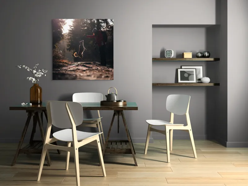 Tablou Canvas, "Câine sărind în lumina soarelui", Câine, Săritor, Pădure, Siluetă, Lumină, Drumeție, Bucurie, Amurg, Mișcare, 100 x 100 cm – poza 6