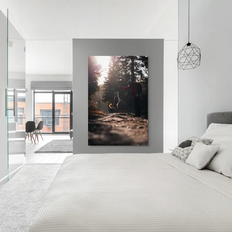 Tablou Canvas, "Câine sărind în lumina soarelui", Câine, Săritor, Pădure, Siluetă, Lumină, Drumeție, Bucurie, Amurg, Mișcare, 100 x 150 cm – poza 5