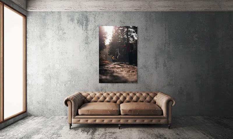 Tablou Canvas, "Câine sărind în lumina soarelui", Câine, Săritor, Pădure, Siluetă, Lumină, Drumeție, Bucurie, Amurg, Mișcare, 100 x 150 cm – poza 6