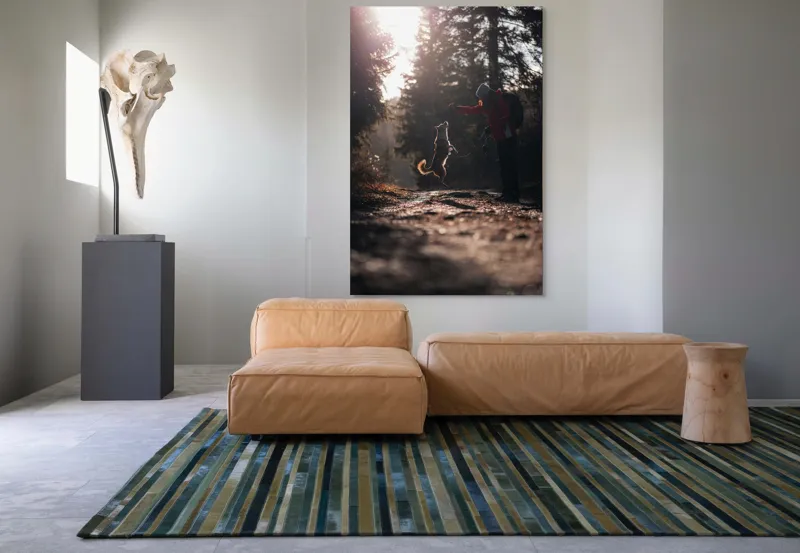 Tablou Canvas, "Câine sărind în lumina soarelui", Câine, Săritor, Pădure, Siluetă, Lumină, Drumeție, Bucurie, Amurg, Mișcare, 100 x 150 cm – poza 7