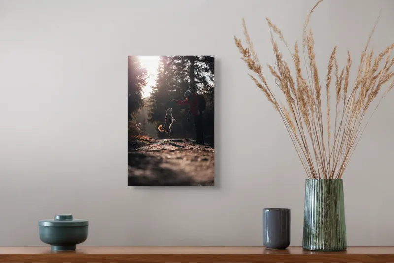 Tablou Canvas, "Câine sărind în lumina soarelui", Câine, Săritor, Pădure, Siluetă, Lumină, Drumeție, Bucurie, Amurg, Mișcare, 26 x 39 cm – poza 5
