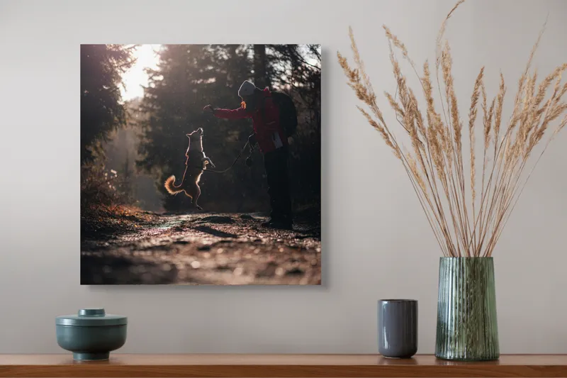 Tablou Canvas, "Câine sărind în lumina soarelui", Câine, Săritor, Pădure, Siluetă, Lumină, Drumeție, Bucurie, Amurg, Mișcare, 50 x 50 cm – poza 4