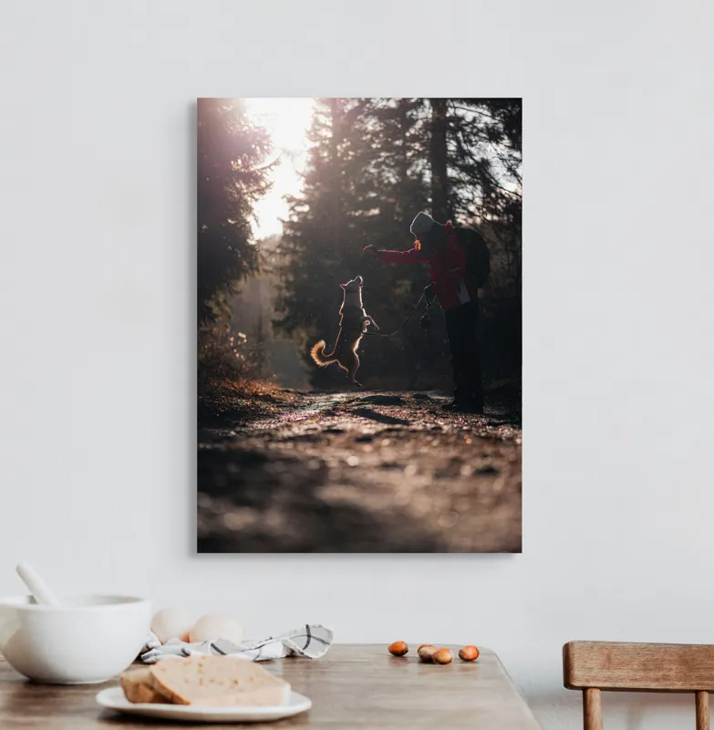 Tablou Canvas, "Câine sărind în lumina soarelui", Câine, Săritor, Pădure, Siluetă, Lumină, Drumeție, Bucurie, Amurg, Mișcare, 50 x 70 cm – poza 3