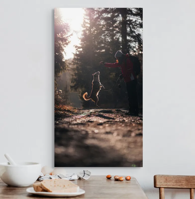 Tablou Canvas, "Câine sărind în lumina soarelui", Câine, Săritor, Pădure, Siluetă, Lumină, Drumeție, Bucurie, Amurg, Mișcare, 50 x 90 cm – poza 3