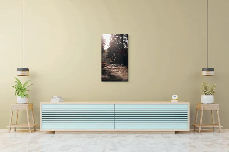 Tablou Canvas, "Câine sărind în lumina soarelui", Câine, Săritor, Pădure, Siluetă, Lumină, Drumeție, Bucurie, Amurg, Mișcare, 50 x 90 cm – poza 6