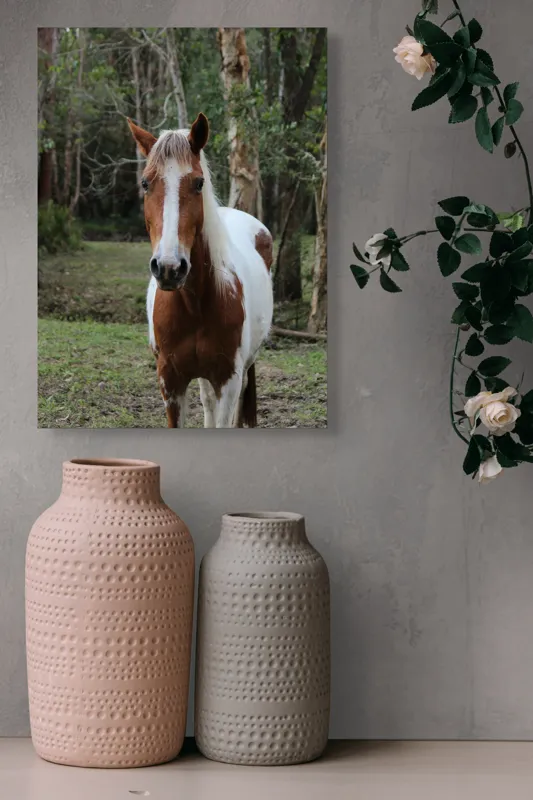Tablou Canvas, "Cal în pădurea liniștită de vară", Cal, Natură, Pădure, Copaci, Verdeață, Blană Pestriță, Privire, Calm, Liniște, Frumusețe., 39 x 54 cm – poza 6