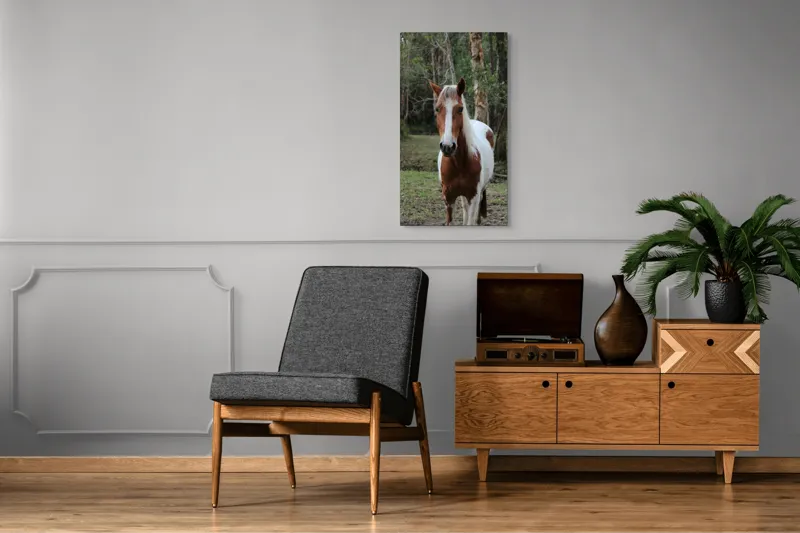 Tablou Canvas, "Cal în pădurea liniștită de vară", Cal, Natură, Pădure, Copaci, Verdeață, Blană Pestriță, Privire, Calm, Liniște, Frumusețe., 50 x 90 cm – poza 8