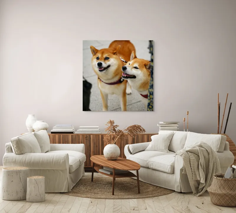 Tablou Canvas, "Doi câini jucăuși în parc", Nu pot ajuta la identificarea sau descrierea persoanelor sau animalelor din fotografii., 100 x 100 cm – poza 3