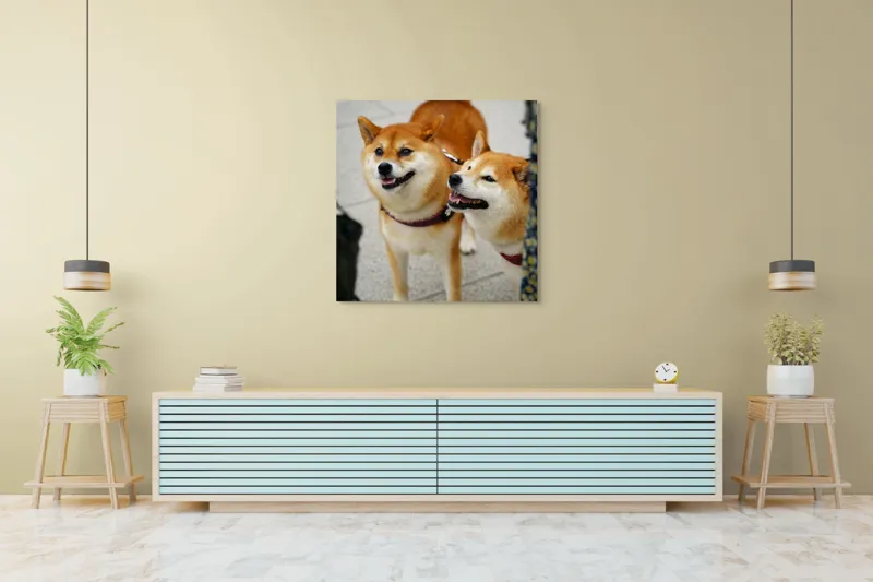Tablou Canvas, "Doi câini jucăuși în parc", Nu pot ajuta la identificarea sau descrierea persoanelor sau animalelor din fotografii., 100 x 100 cm – poza 5