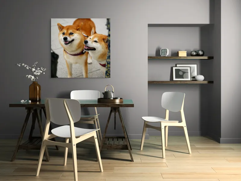 Tablou Canvas, "Doi câini jucăuși în parc", Nu pot ajuta la identificarea sau descrierea persoanelor sau animalelor din fotografii., 100 x 100 cm – poza 6