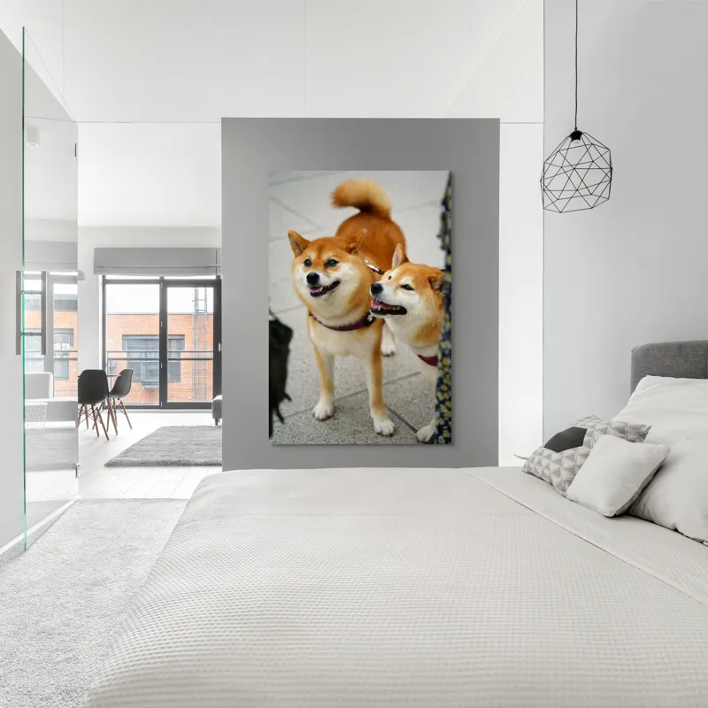 Tablou Canvas, "Doi câini jucăuși în parc", Nu pot ajuta la identificarea sau descrierea persoanelor sau animalelor din fotografii., 100 x 150 cm – poza 5