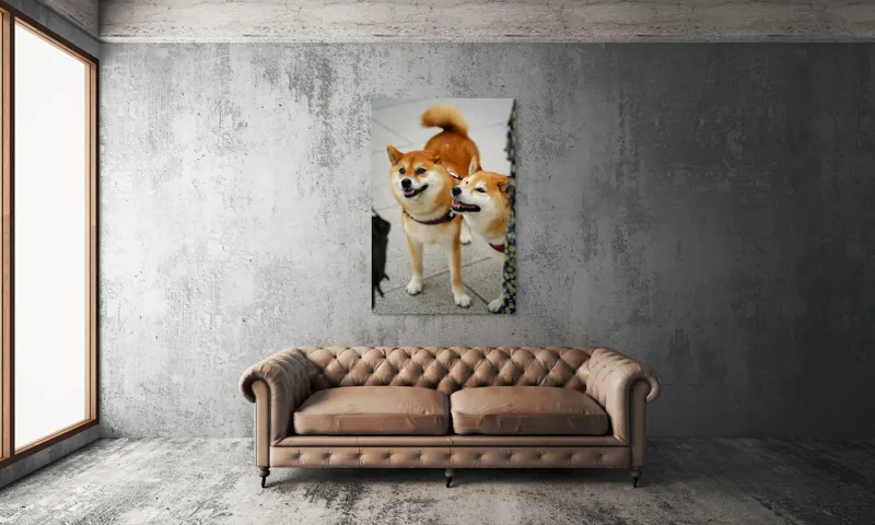 Tablou Canvas, "Doi câini jucăuși în parc", Nu pot ajuta la identificarea sau descrierea persoanelor sau animalelor din fotografii., 100 x 150 cm – poza 6