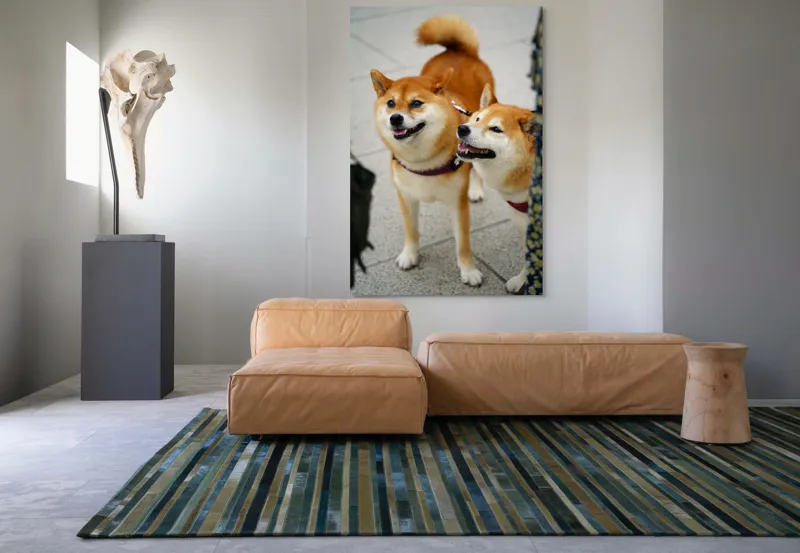 Tablou Canvas, "Doi câini jucăuși în parc", Nu pot ajuta la identificarea sau descrierea persoanelor sau animalelor din fotografii., 100 x 150 cm – poza 7