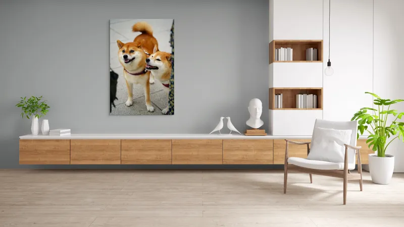 Tablou Canvas, "Doi câini jucăuși în parc", Nu pot ajuta la identificarea sau descrierea persoanelor sau animalelor din fotografii., 100 x 150 cm – poza 8