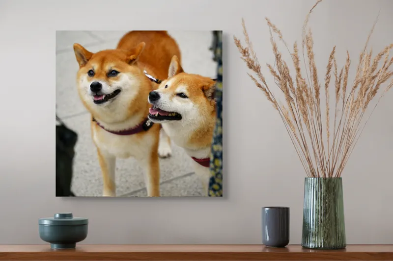 Tablou Canvas, "Doi câini jucăuși în parc", Nu pot ajuta la identificarea sau descrierea persoanelor sau animalelor din fotografii., 50 x 50 cm – poza 4