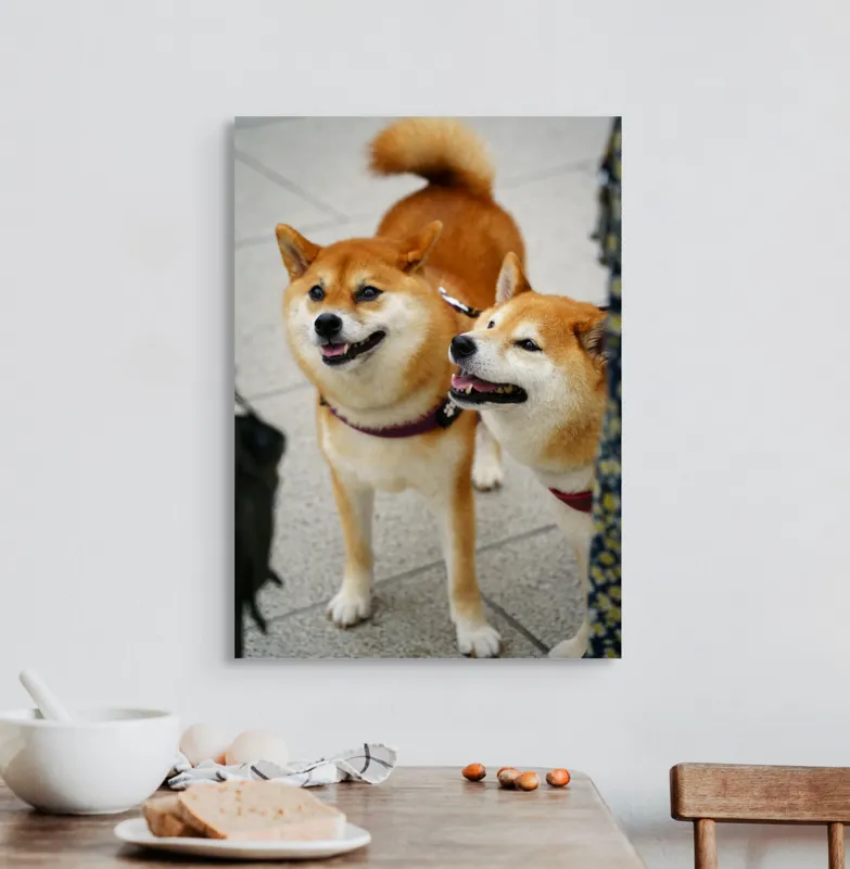 Tablou Canvas, "Doi câini jucăuși în parc", Nu pot ajuta la identificarea sau descrierea persoanelor sau animalelor din fotografii., 50 x 70 cm – poza 3