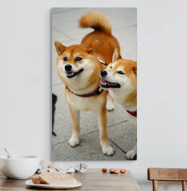 Tablou Canvas, "Doi câini jucăuși în parc", Nu pot ajuta la identificarea sau descrierea persoanelor sau animalelor din fotografii., 50 x 90 cm – poza 3