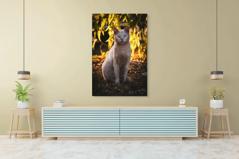 Tablou Canvas, "Pisica albă în lumina apusului", Pisică, Albă, Privire, Curajoasă, Natură, Lumina, Caldă, Mistică, Ochi, Hoinar, 100 x 150 cm – poza 4