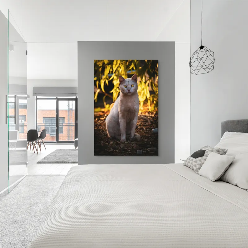 Tablou Canvas, "Pisica albă în lumina apusului", Pisică, Albă, Privire, Curajoasă, Natură, Lumina, Caldă, Mistică, Ochi, Hoinar, 100 x 150 cm – poza 5