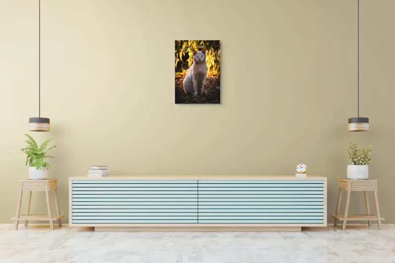 Tablou Canvas, "Pisica albă în lumina apusului", Pisică, Albă, Privire, Curajoasă, Natură, Lumina, Caldă, Mistică, Ochi, Hoinar, 50 x 70 cm – poza 6