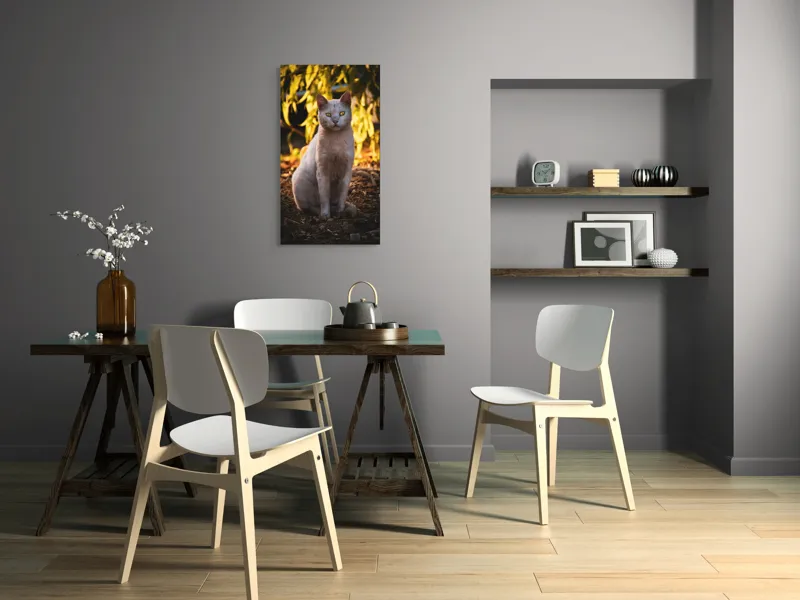 Tablou Canvas, "Pisica albă în lumina apusului", Pisică, Albă, Privire, Curajoasă, Natură, Lumina, Caldă, Mistică, Ochi, Hoinar, 50 x 90 cm – poza 4