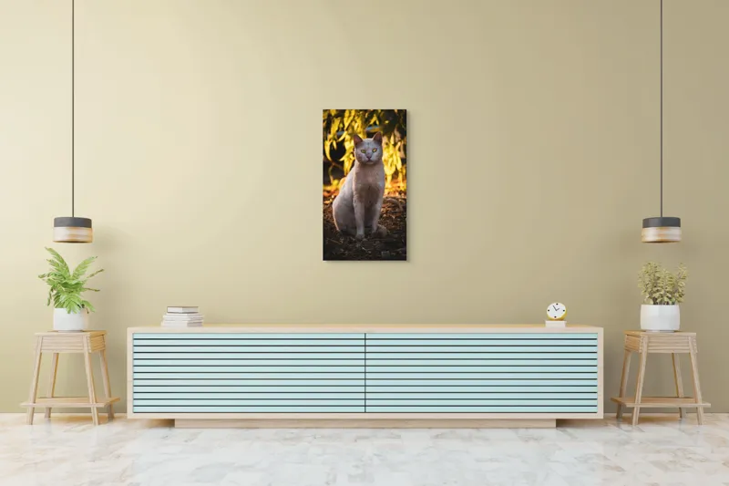 Tablou Canvas, "Pisica albă în lumina apusului", Pisică, Albă, Privire, Curajoasă, Natură, Lumina, Caldă, Mistică, Ochi, Hoinar, 50 x 90 cm – poza 6