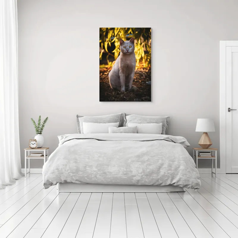 Tablou Canvas, "Pisica albă în lumina apusului", Pisică, Albă, Privire, Curajoasă, Natură, Lumina, Caldă, Mistică, Ochi, Hoinar, 70 x 100 cm – poza 3