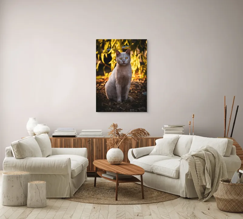 Tablou Canvas, "Pisica albă în lumina apusului", Pisică, Albă, Privire, Curajoasă, Natură, Lumina, Caldă, Mistică, Ochi, Hoinar, 70 x 100 cm – poza 4
