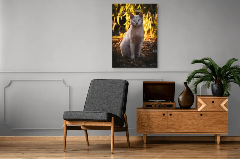 Tablou Canvas, "Pisica albă în lumina apusului", Pisică, Albă, Privire, Curajoasă, Natură, Lumina, Caldă, Mistică, Ochi, Hoinar, 70 x 100 cm – poza 6