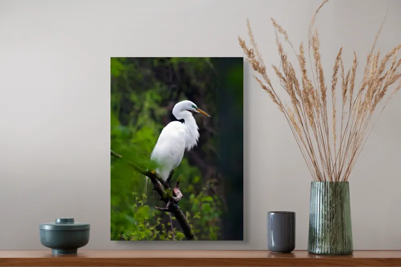 Tablou Canvas, "Egreta solitară în pădurea verde", Alb, Grațios, Păsăre, Natură, Ramură, Elegant, Verde, Tranquilitate, 39 x 54 cm – poza 3