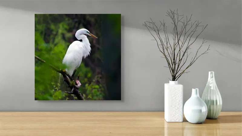 Tablou Canvas, "Egreta solitară în pădurea verde", Alb, Grațios, Păsăre, Natură, Ramură, Elegant, Verde, Tranquilitate, 50 x 50 cm – poza 3