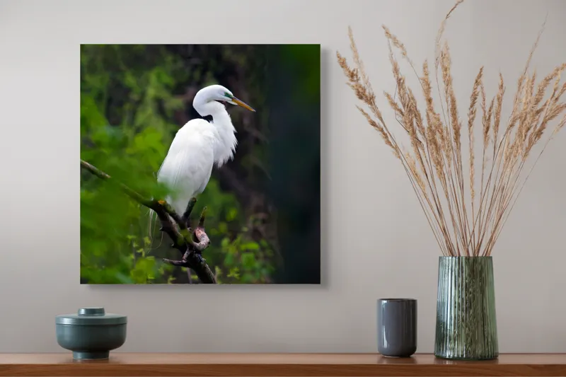 Tablou Canvas, "Egreta solitară în pădurea verde", Alb, Grațios, Păsăre, Natură, Ramură, Elegant, Verde, Tranquilitate, 50 x 50 cm – poza 4