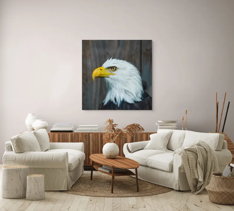 Tablou Canvas, "Vulturul mândru în zbor imaginar", Majestuos, Regal, Impunător, Vultur, Privire, Fier, Deosebit, 100 x 100 cm – poza 3
