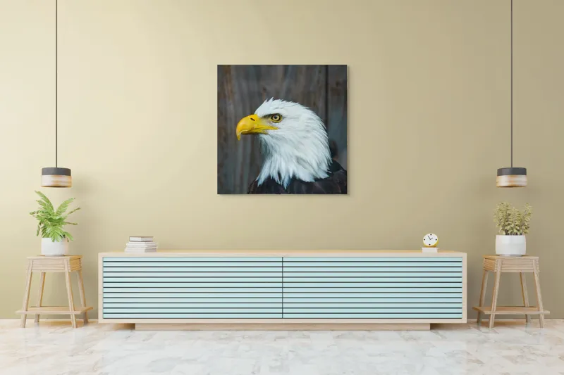 Tablou Canvas, "Vulturul mândru în zbor imaginar", Majestuos, Regal, Impunător, Vultur, Privire, Fier, Deosebit, 100 x 100 cm – poza 5