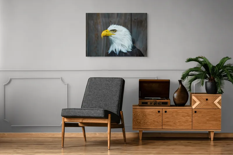 Tablou Canvas, "Vulturul mândru în zbor imaginar", Majestuos, Regal, Impunător, Vultur, Privire, Fier, Deosebit, 100 x 70 cm – poza 8