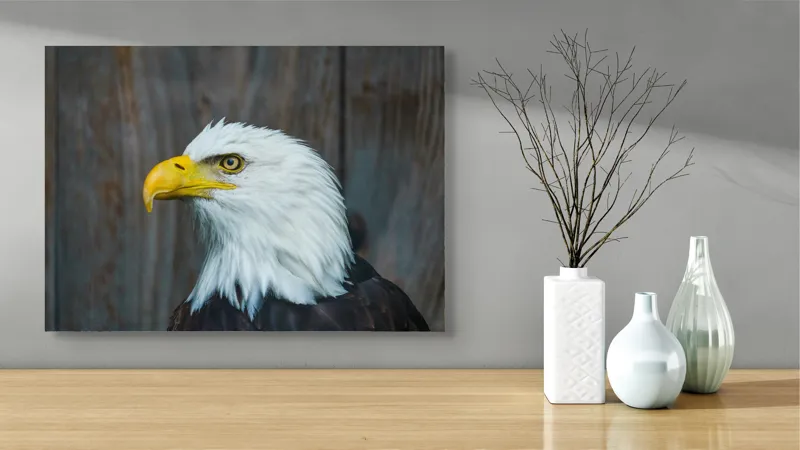 Tablou Canvas, "Vulturul mândru în zbor imaginar", Majestuos, Regal, Impunător, Vultur, Privire, Fier, Deosebit, 70 x 50 cm – poza 3