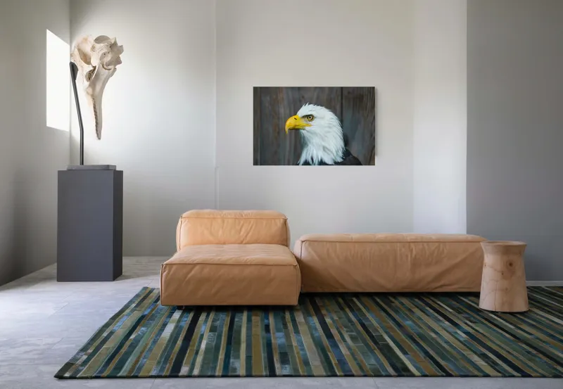 Tablou Canvas, "Vulturul mândru în zbor imaginar", Majestuos, Regal, Impunător, Vultur, Privire, Fier, Deosebit, 90 x 50 cm – poza 8