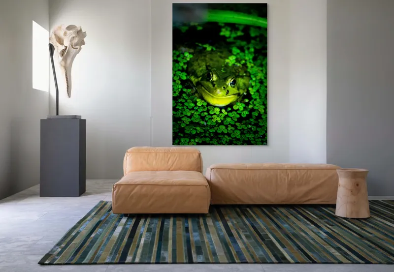 Tablou Canvas, "Prințul broaștelor în habitat natural", Broască, Apă, Vegetație, Verde, Ochi, Natură, Reflexie, Cămuflaj, 100 x 150 cm – poza 7