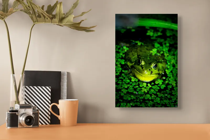 Tablou Canvas, "Prințul broaștelor în habitat natural", Broască, Apă, Vegetație, Verde, Ochi, Natură, Reflexie, Cămuflaj, 26 x 39 cm – poza 3