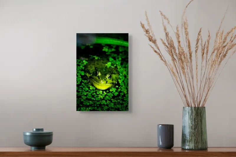 Tablou Canvas, "Prințul broaștelor în habitat natural", Broască, Apă, Vegetație, Verde, Ochi, Natură, Reflexie, Cămuflaj, 26 x 39 cm – poza 5