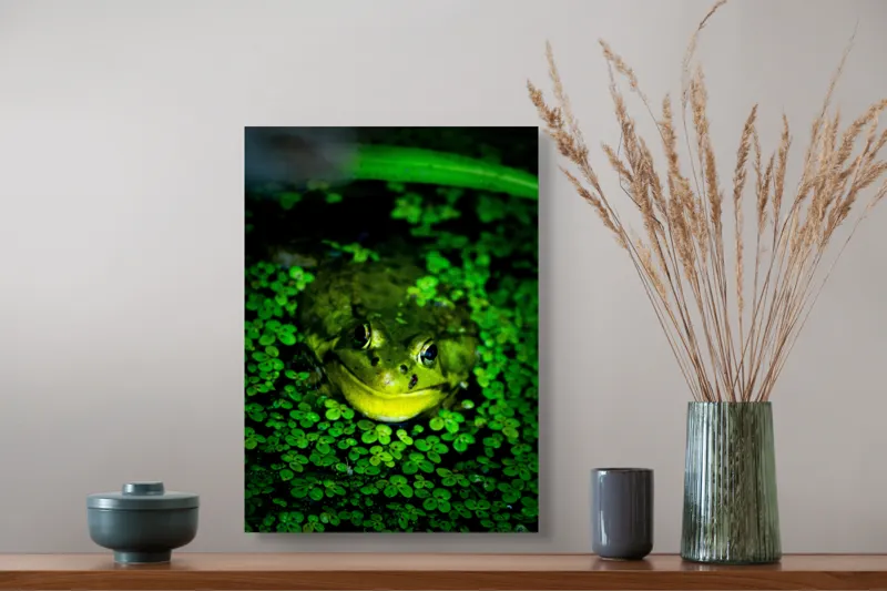 Tablou Canvas, "Prințul broaștelor în habitat natural", Broască, Apă, Vegetație, Verde, Ochi, Natură, Reflexie, Cămuflaj, 39 x 54 cm – poza 3
