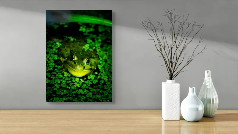 Tablou Canvas, "Prințul broaștelor în habitat natural", Broască, Apă, Vegetație, Verde, Ochi, Natură, Reflexie, Cămuflaj, 39 x 54 cm – poza 4
