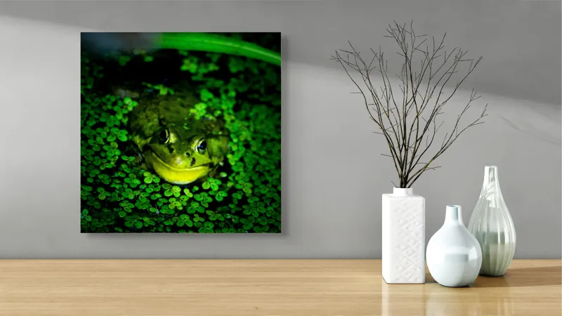 Tablou Canvas, "Prințul broaștelor în habitat natural", Broască, Apă, Vegetație, Verde, Ochi, Natură, Reflexie, Cămuflaj, 50 x 50 cm – poza 3