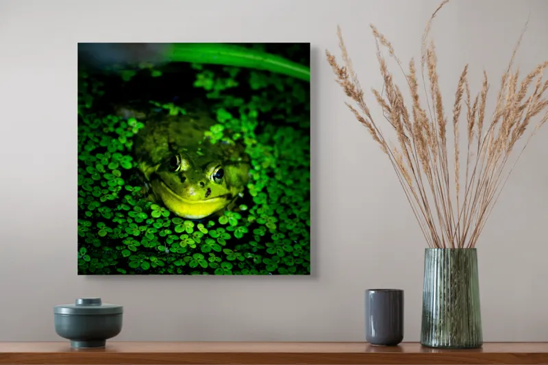 Tablou Canvas, "Prințul broaștelor în habitat natural", Broască, Apă, Vegetație, Verde, Ochi, Natură, Reflexie, Cămuflaj, 50 x 50 cm – poza 4