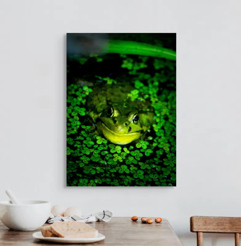 Tablou Canvas, "Prințul broaștelor în habitat natural", Broască, Apă, Vegetație, Verde, Ochi, Natură, Reflexie, Cămuflaj, 50 x 70 cm – poza 3