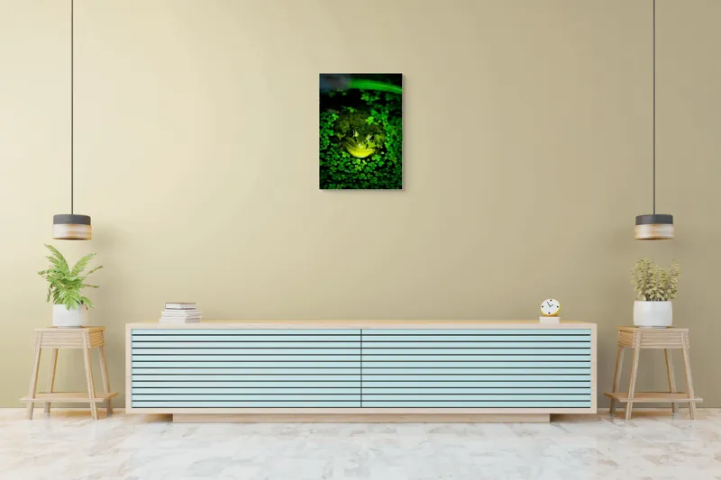 Tablou Canvas, "Prințul broaștelor în habitat natural", Broască, Apă, Vegetație, Verde, Ochi, Natură, Reflexie, Cămuflaj, 50 x 70 cm – poza 6