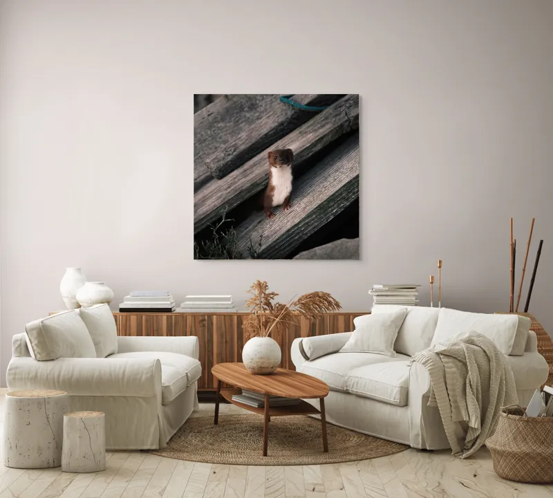 Tablou Canvas, "Nu știu cine este această persoană.", Șopron, Veveriță, Lemn, Verdeață, Curiozitate, 100 x 100 cm – poza 3